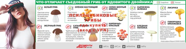 сатива Алзамай